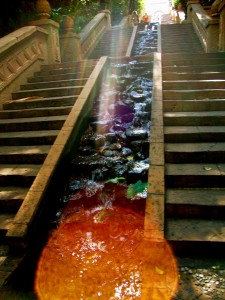 Suncity_steps